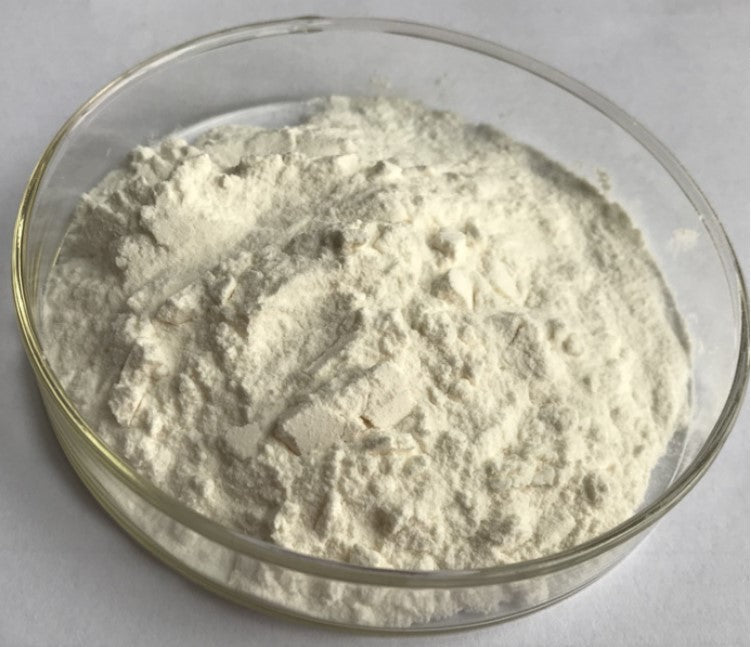 Xclusiv Organics Pure Ferulic Acid Powder – Anti-Oxidant Ferulic Acid for Youthful Radiant Skin Xclusiv Organics