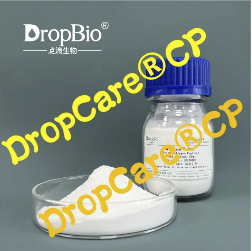 Bottle of DropBio DropCare RCP with hydrolyzed collagen powder in a beaker on a gray background