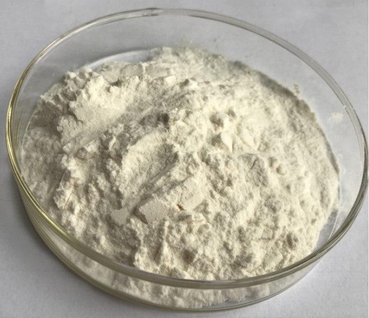 Xclusiv Organics Pure Ferulic Acid Powder – Anti-Oxidant Ferulic Acid for Youthful Radiant Skin